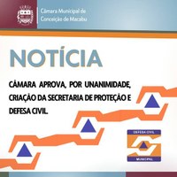 CÂMARA APROVA CRIAÇÃO DA SECRETARIA DE PROTEÇÃO E DEFESA CIVIL