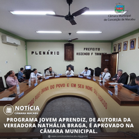 PROGRAMA JOVEM APRENDIZ, DE AUTORIA DA VEREADORA NATHÁLIA BRAGA, É APROVADO NA CÂMARA MUNICIPAL. 