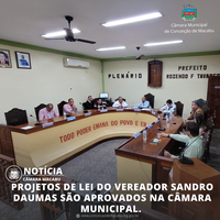 PROJETOS DE LEI DO VEREADOR SANDRO DAUMAS SÃO APROVADOS NA CÂMARA MUNICIPAL. 