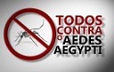 Vereadora Nathália Braga indica à Prefeitura ação de combate ao mosquito Aedes Aegypti